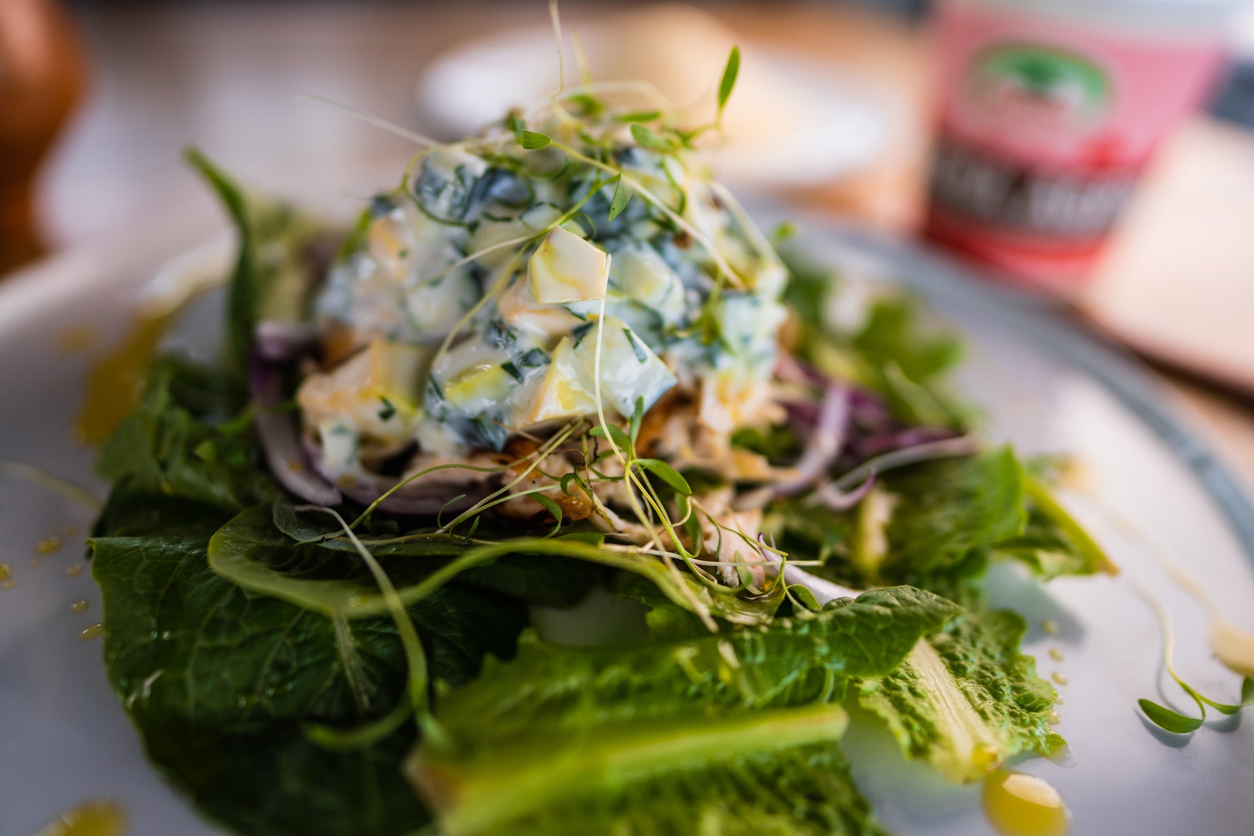 Ensalada de Crema Agria, Parmesano y aguacate