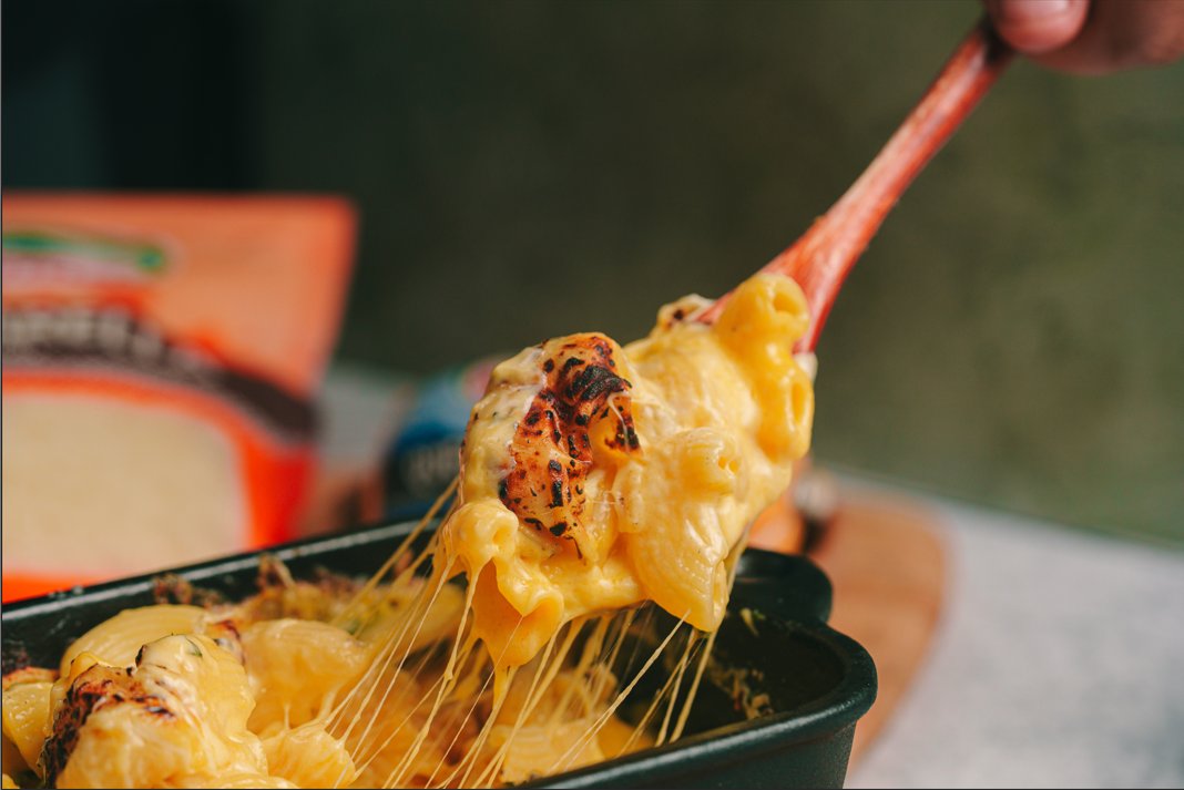 Lacteos | queso
