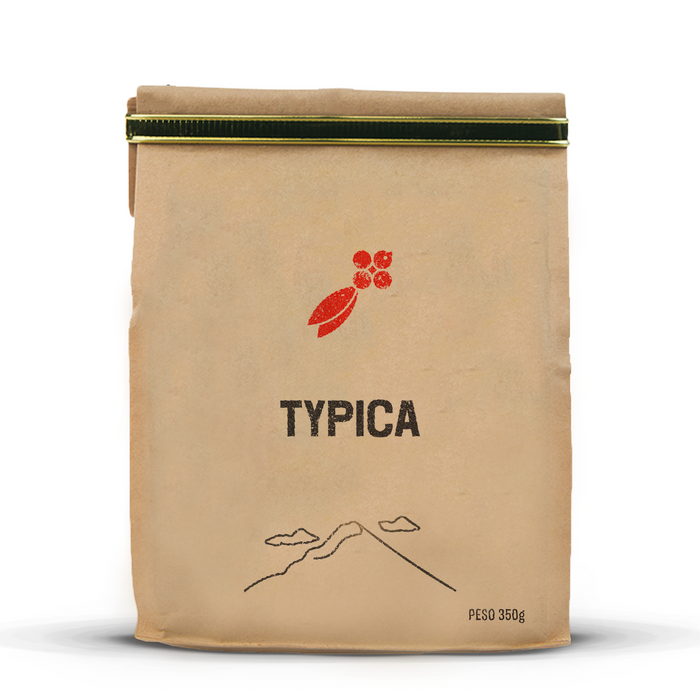 Café Typica en Grano