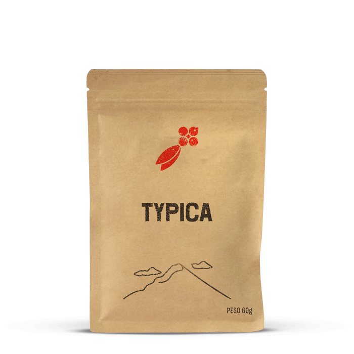 Café Typica en Grano